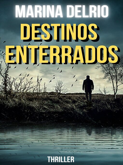 Cover image for DESTINOS ENTERRADOS